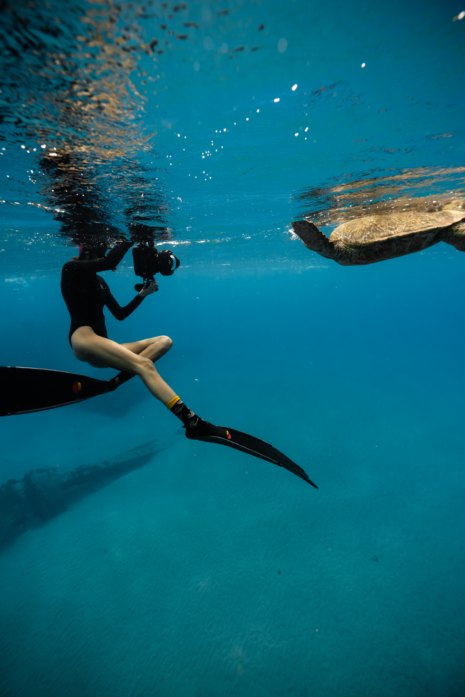 Underwater photographer filming a sea turtle near the surface